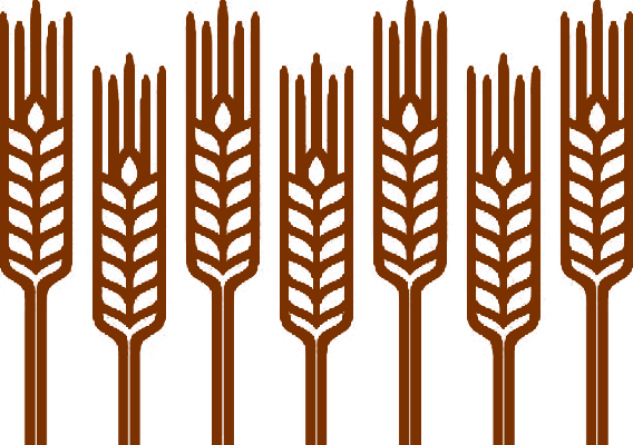 illustrated wheat